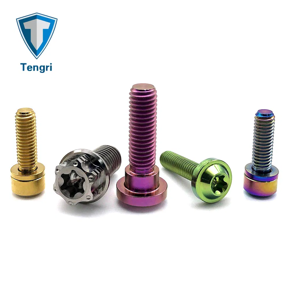 Anodized Colored Bicycle Motorcycle Titanium Screws and Screws
