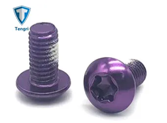 Anodized Colored Bicycle Motorcycle Titanium Screws and Screws