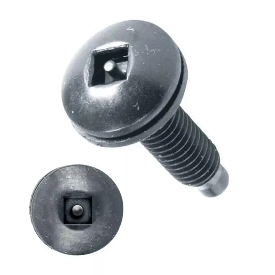 Anti Theft Screw Car Airtag Bike Made in China Pig Nose Torx 5-Lobe Pin T-Head Stainless Steel Tamper Proof Security Screws