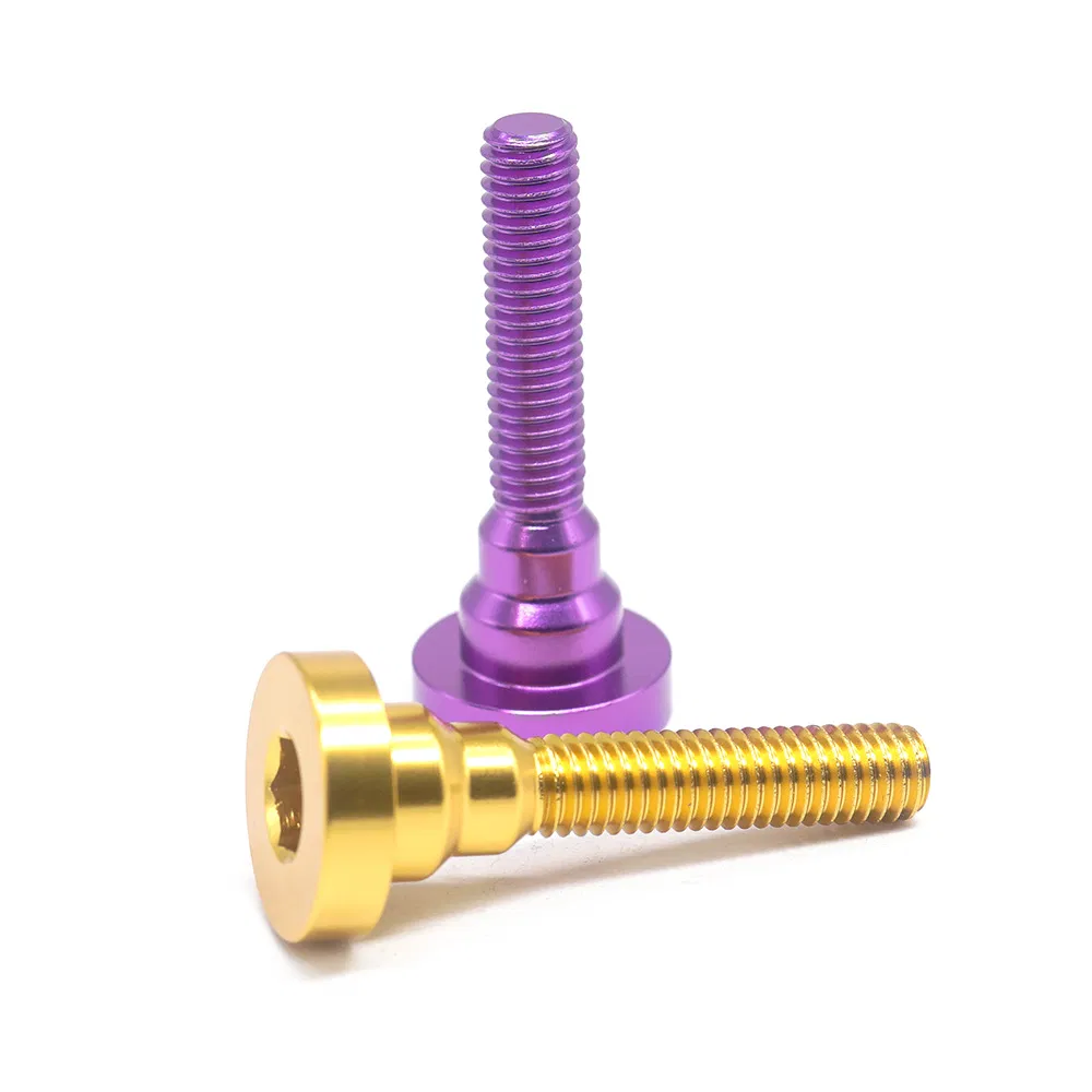 China Custom Many Kinds of Fastener Allen Key Step Screw Inner Hex Head Screw Various Colors Socket Screw for Furniture/Bicycle