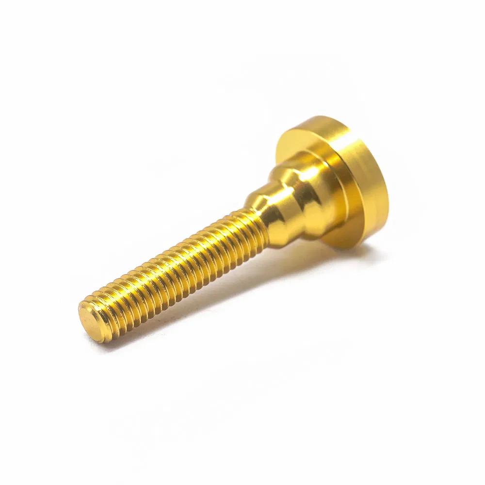China Custom Many Kinds of Fastener Allen Key Step Screw Inner Hex Head Screw Various Colors Socket Screw for Furniture/Bicycle