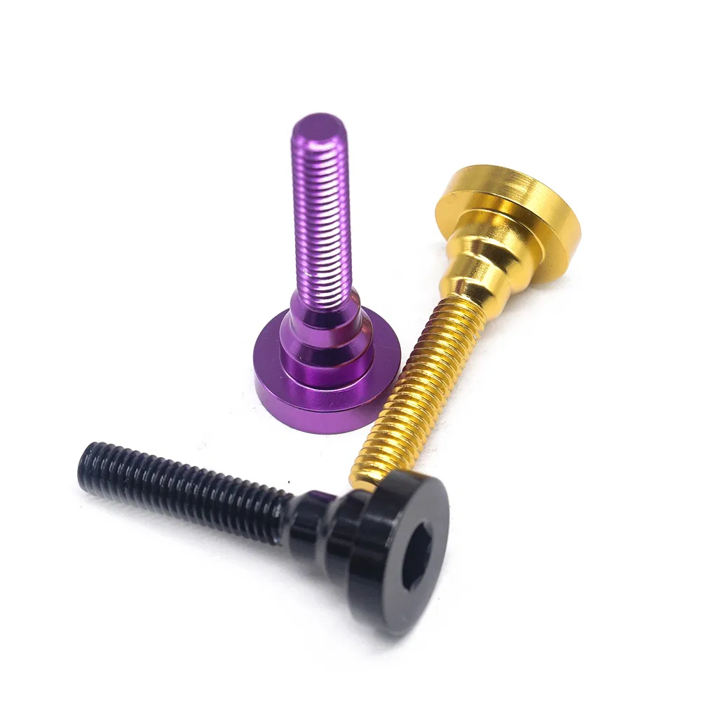 China Custom Many Kinds of Fastener Allen Key Step Screw Inner Hex Head Screw Various Colors Socket Screw for Furniture/Bicycle