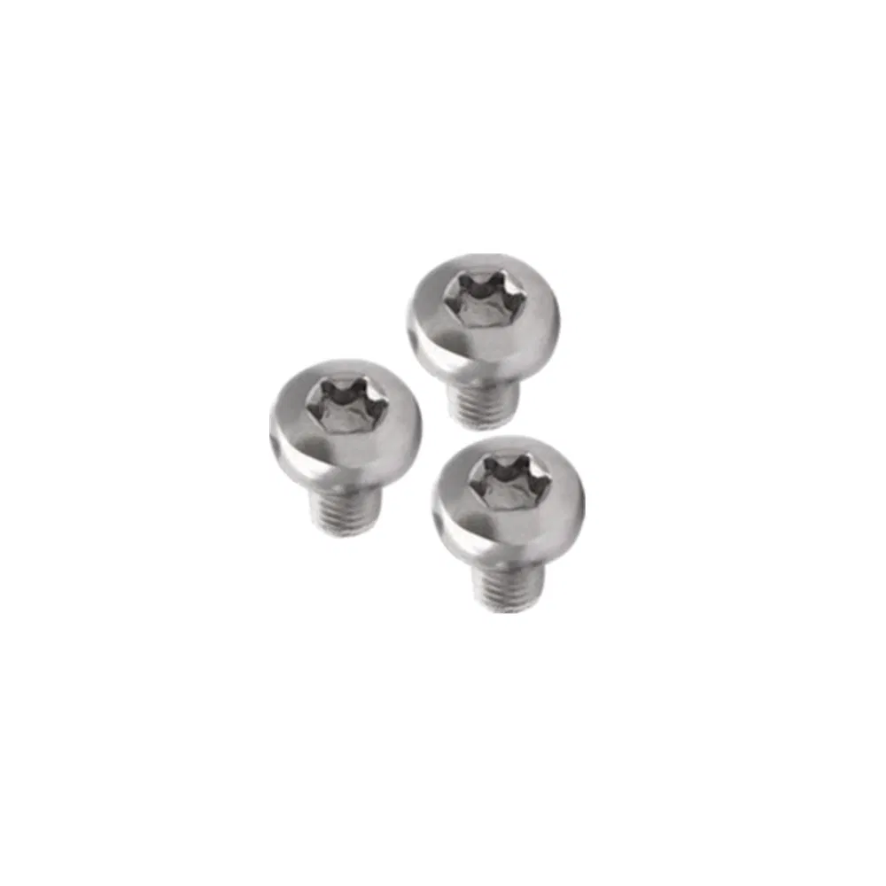 ISO14583 Gr. 5 Grade 5 Ti 6al 4V Torx Pan Head Titanium Screws for Bike Bolt