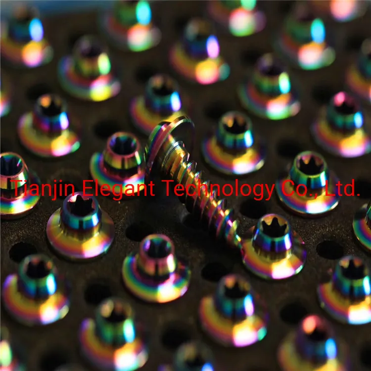 Titanium Bolts Allex Hex Bike Stem Tapered Head Screw/M3 M4 M5 M6 M8 M10 Gr2 Gr5 Torx Head Titanium Screws for Bicycle/ Premium Related Prod